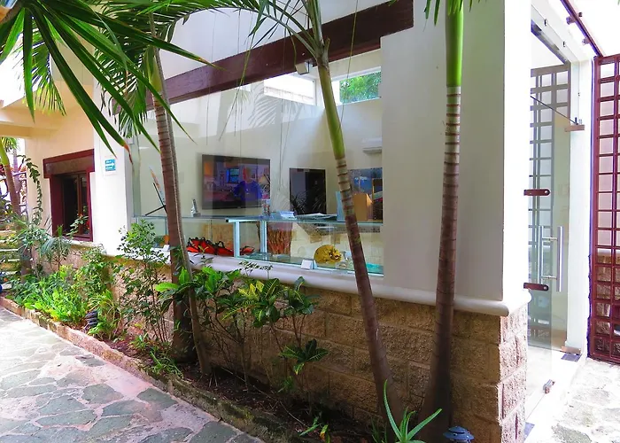 Xibalba Dive Center Hotel Tulum